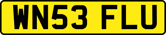 WN53FLU