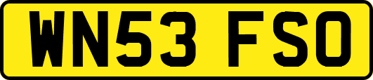 WN53FSO
