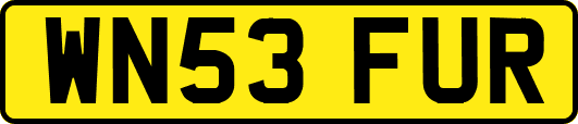 WN53FUR