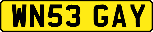 WN53GAY