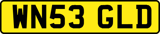 WN53GLD