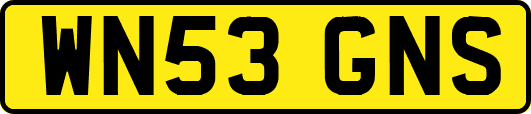WN53GNS
