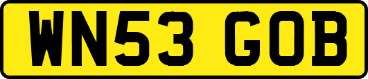 WN53GOB