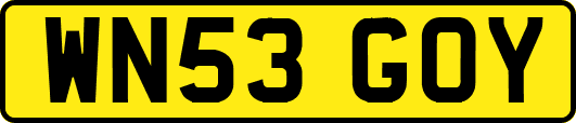 WN53GOY