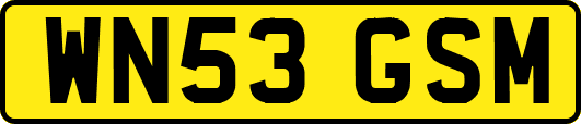 WN53GSM