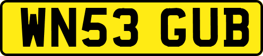 WN53GUB