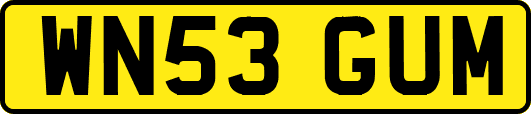 WN53GUM
