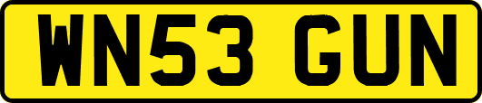 WN53GUN