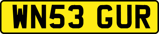 WN53GUR