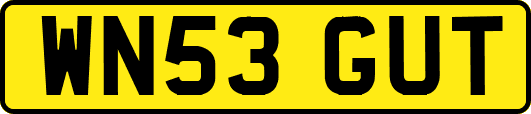 WN53GUT