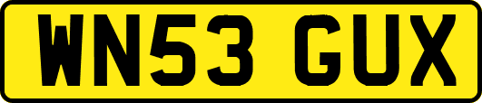 WN53GUX