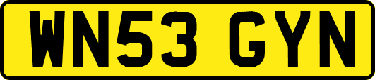 WN53GYN