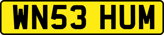 WN53HUM