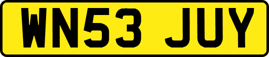 WN53JUY