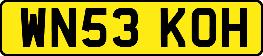 WN53KOH