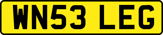 WN53LEG