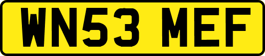 WN53MEF
