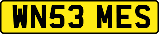 WN53MES