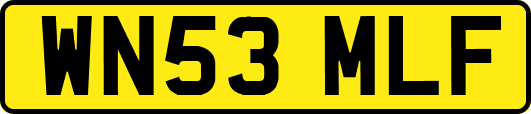 WN53MLF