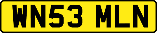 WN53MLN