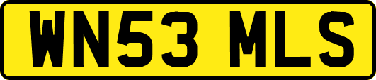 WN53MLS