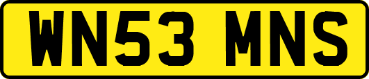WN53MNS