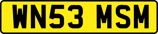WN53MSM