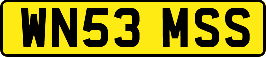 WN53MSS