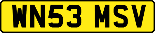 WN53MSV