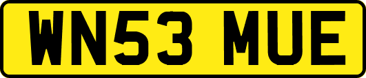 WN53MUE