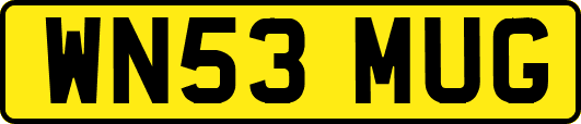 WN53MUG