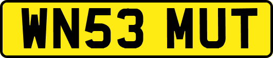 WN53MUT