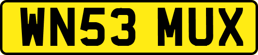 WN53MUX