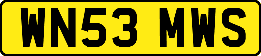 WN53MWS