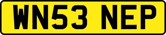 WN53NEP