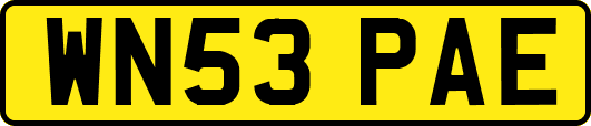 WN53PAE