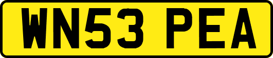 WN53PEA