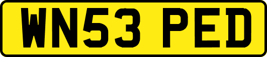 WN53PED