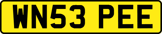 WN53PEE