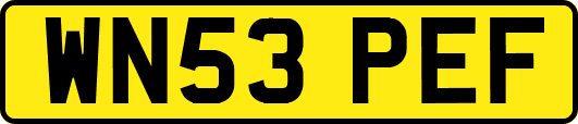 WN53PEF