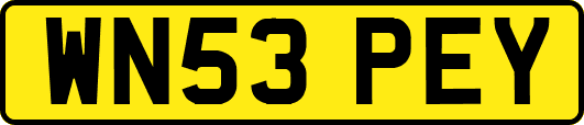 WN53PEY