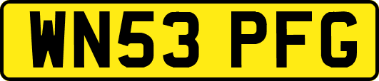 WN53PFG