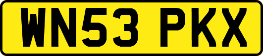 WN53PKX
