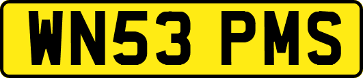 WN53PMS