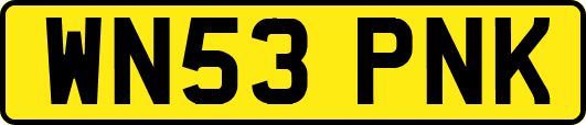 WN53PNK