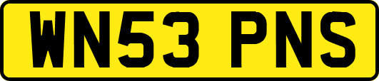 WN53PNS