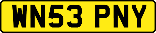 WN53PNY