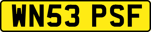 WN53PSF