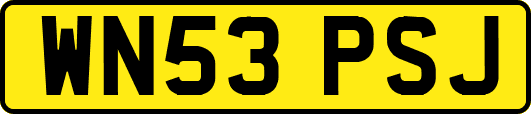 WN53PSJ
