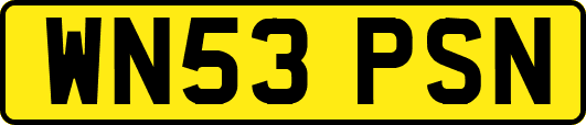 WN53PSN